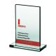 8. "Glass trophy engraved + paint filled Glass trophy engraved + paint filled"
