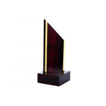 Wooden trophy Triumph