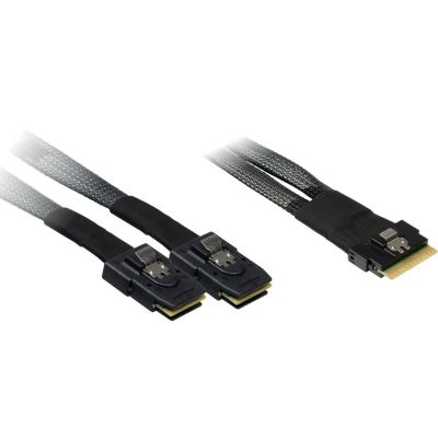 Inter-Tech Cable SFF 8654-8x - SFF 8087-2x 0.75m