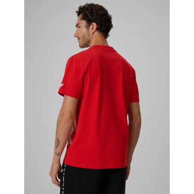 2. Men's cotton fan T-shirt 4F 4FRSS26TTSHM4200-62S