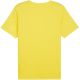 2. Puma teamRISE Matchday Jersey M 706132 07