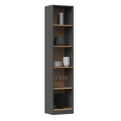 2. R40 bookcase 40x30xH181 anthracite/artisan