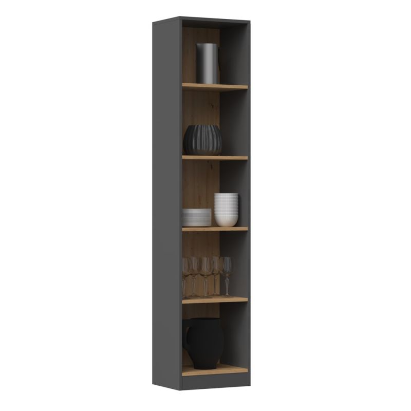 2. R40 bookcase 40x30xH181 anthracite/artisan