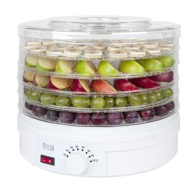 3. TEESA DRYER FOR MUSHROOMS, VEGETABLES AND FRUIT