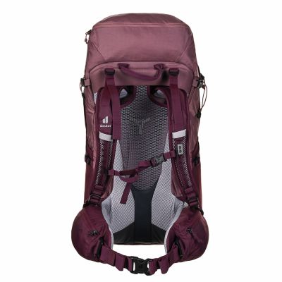 7. Deuter Futura Pro 34 SL 340102155990 hiking backpack