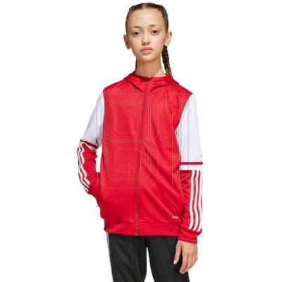 4. Adidas Squadra 25 Hoodie Jr JD4801 sweatshirt