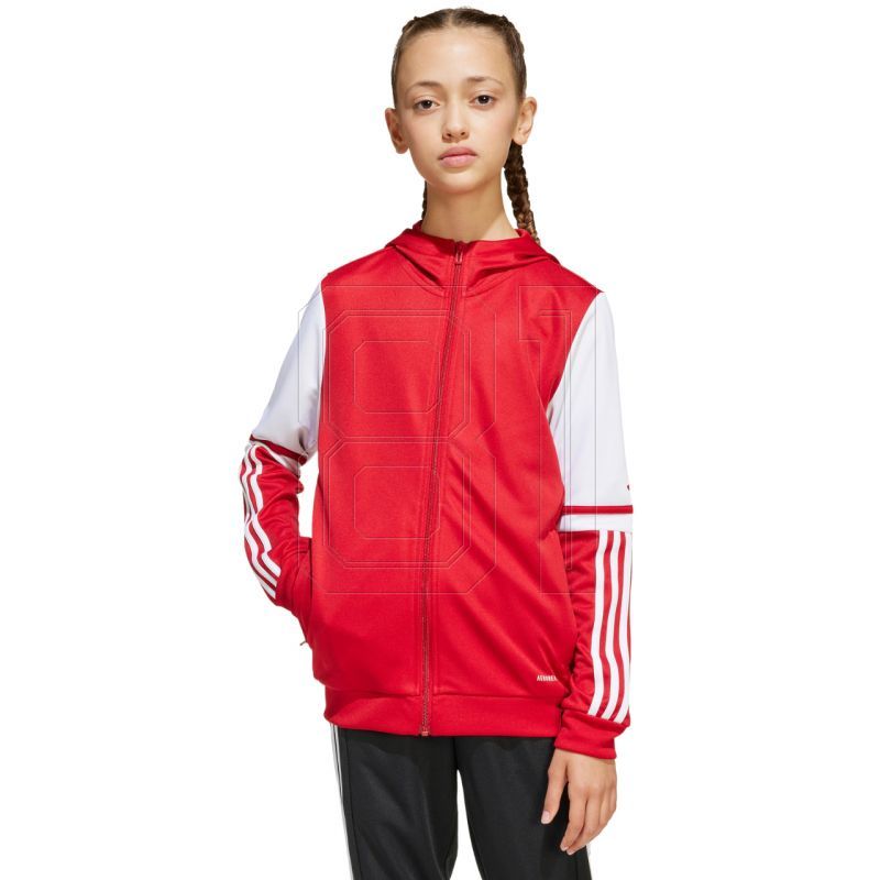 4. Adidas Squadra 25 Hoodie Jr JD4801 sweatshirt