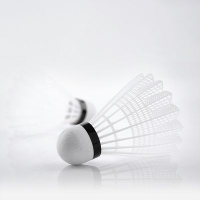 4. Teloon TB017 Badminton Shuttlecocks