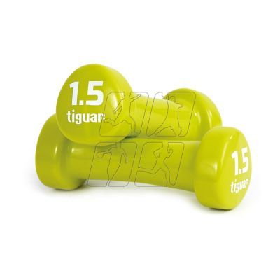 2. Tiguar vinyl dumbbells TI-HW0015BOX