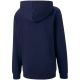 2. Puma teamGOAL 23 Casuals Hoody Jr 656711 06