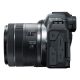 15. Canon EOS R8 - RF 24-50mm Digital Camera