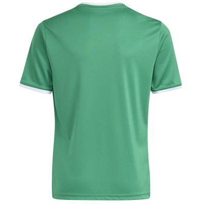 2. adidas Entrada 26 Jersey green JZ2528 kids' t-shirt