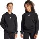 adidas Essentials Hoodie for kids black JC9772
