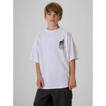 Boy's regular printed T-shirt 4F 4FJKAW26TTSHM4457-10S
