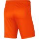 5. Nike Dry Park III NB KM BV6855 819 Shorts
