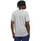 3. adidas Sportsman Mountain Graphic Men's T-Shirt Light Gray KC9253