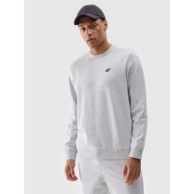 Men's sweatshirt without zipper, without hood, 4F 4FWMM00TSWSM1767-27M