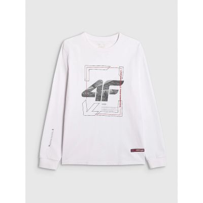 7. Men's longsleeve regular with print 4F 4FRAW25TLONM606-10S