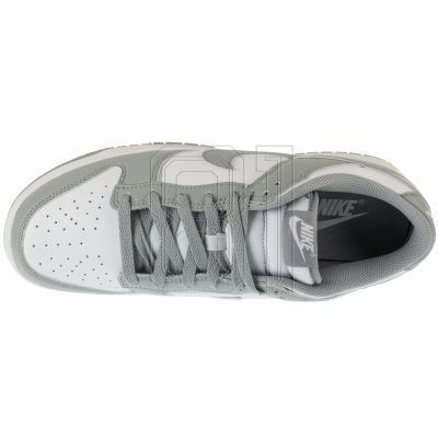3. Nike Dunk Low Retro HF5441-105 shoes