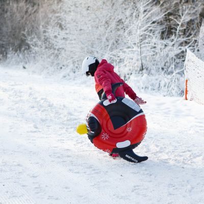 27. Snow Slide Meteor Penguin 16764