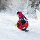 27. Meteor Penguin 16764 snow slide