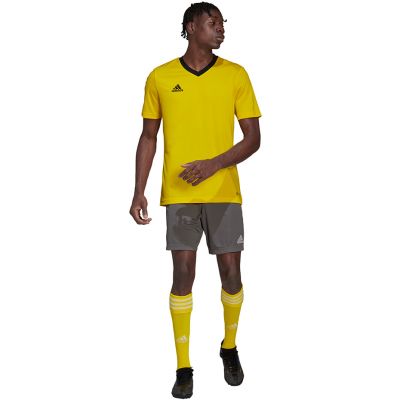 10. adidas Entrada 22 Jersey M HI2122