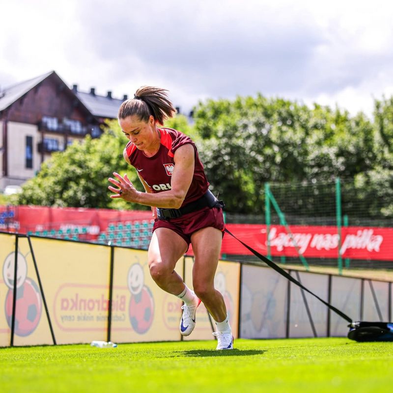 4. Yakima Sport training sled model II 100331