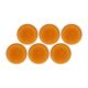 ROSE&TULIPANI ARPEGGIO Set of 6 dinner plates 25 cm, orange