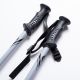 3. ALPINE SKI II poles