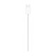 9. Apple MagSafe Charger (1m) (MGD74ZM/A)