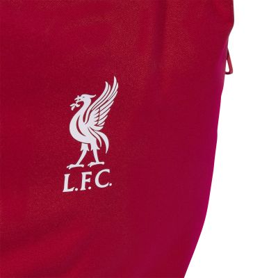 4. adidas Liverpool FC Backpack JZ5881