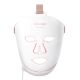 Perfect Skin LED Facial Mask MO8303 CONCEPT