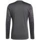 2. adidas Team Icon 25 Jersey Long Sleeve M JH3334