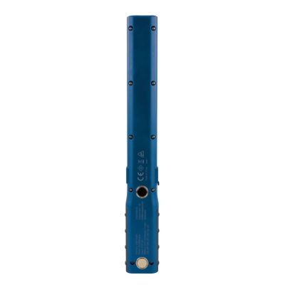 13. Ansmann WL450R Black, Blue LED
