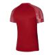 2. Nike Academy Jr T-shirt DH8369-657