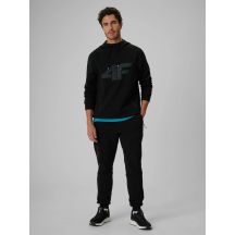 Men's jogger sweatpants 4F 4FRSS26TTROM2110-20S