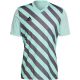 2. T-shirt adidas Entrada 22 Graphic Jersey M HF0119