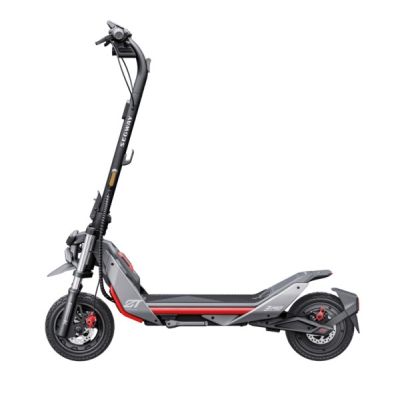 Segway Ninebot Kickscooter ZT3 Pro E 1600 W 25 km/h 11" Black Scooter