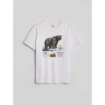 6. Men's regular printed T-shirt 4F 4FKAW26TTSHM4473-11S