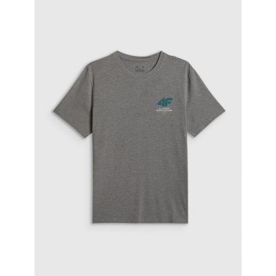 5. Men's regular plain T-shirt 4F 4FRSS26TTSHM3990-24M
