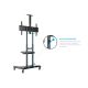 27. HAGOR M Public Floorstand HD - cart