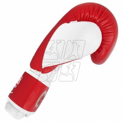 5. Leather boxing gloves MASTERS RBT-TRW 01210-02