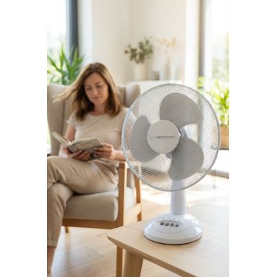 9. Esperanza Chinnok EHF003WE desk fan (white, gray)