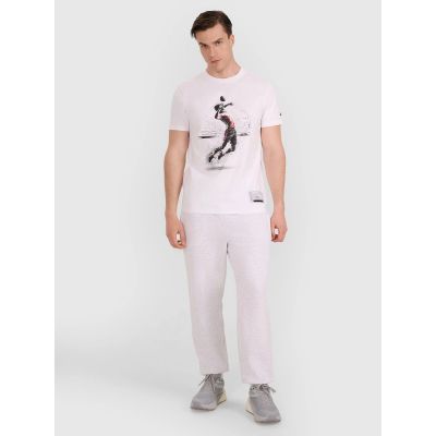 3. Men's regular t-shirt with volleyball print 4F 4FRAW25TTSHM3318-10S