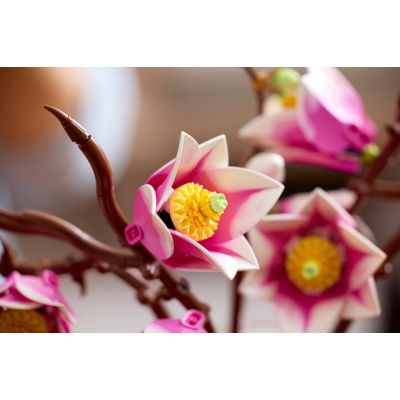 12. LEGO Botanicals 11510 - Magnolia Branches