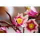 12. LEGO Botanicals 11510 - Magnolia Branches