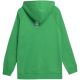 2. Sweatshirt 4F M 4FSS23TSWSM236 41S
