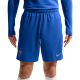 Nike France Dri-Fit FFF Strike Men's Shorts Blue IB4609 480