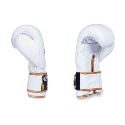 2. 10oz Boxing Gloves - Spirit - Valor Series