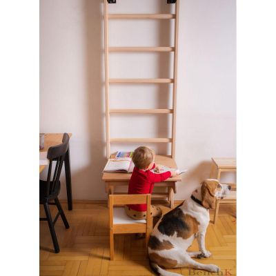 63. WOODEN PULL-UP LADDER WITH DESK BENCHK 112